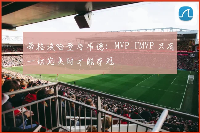 蒂格谈哈登与韦德：MVP_FMVP 只有一切完美时才能夺冠